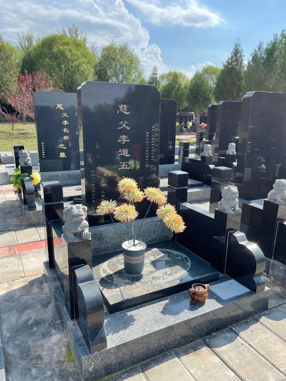 1645088836155194.jpg 1645088836155194.jpg