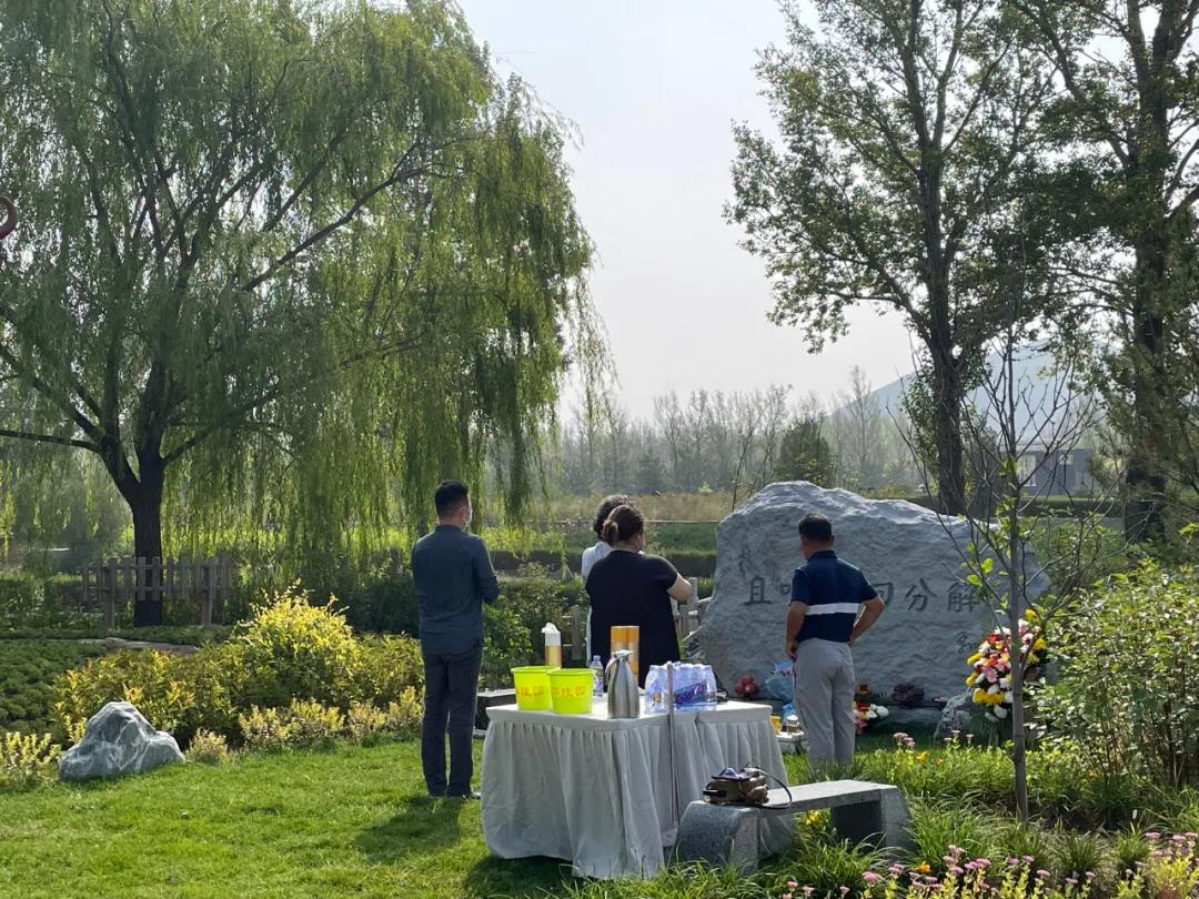 1645089728600945.jpg 1645089728600945.jpg