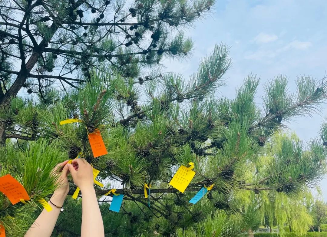 1666494384155993.jpg 55.jpg