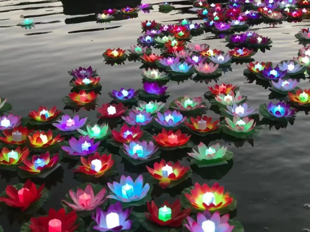 1666494544161513.jpg 441.jpg