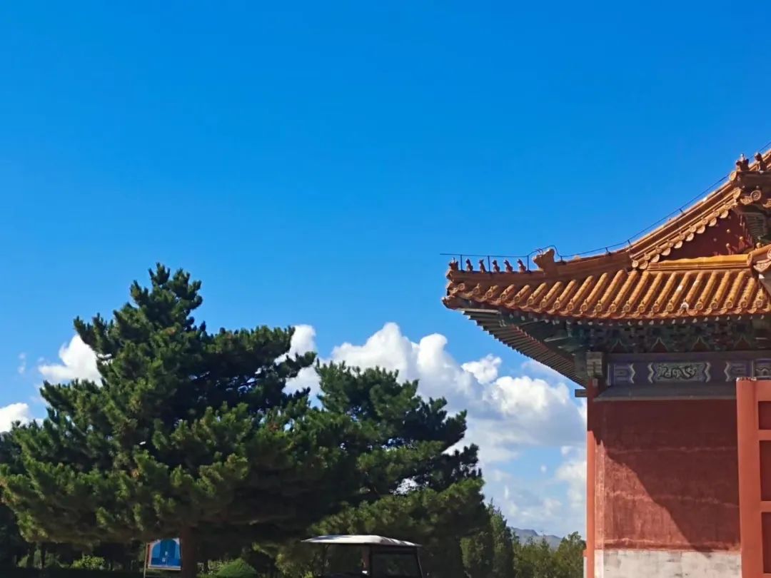 1666497485672004.jpg 951.jpg