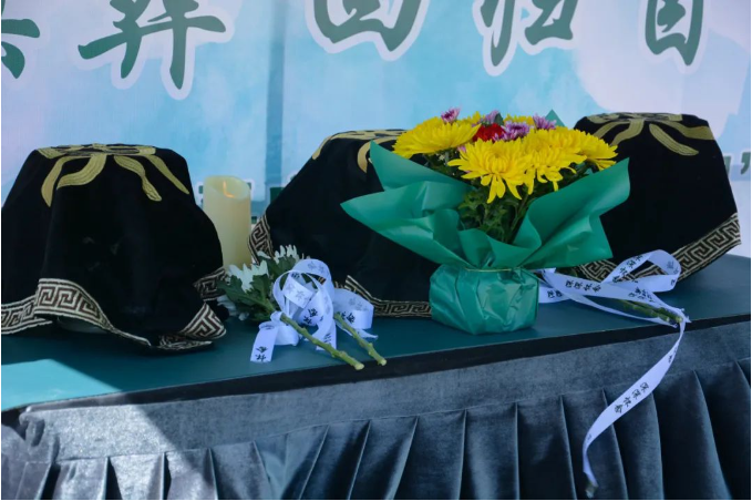 1743987681102878.png image.png