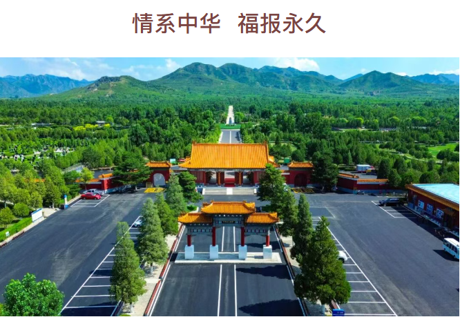 1765247136184547.png image.png